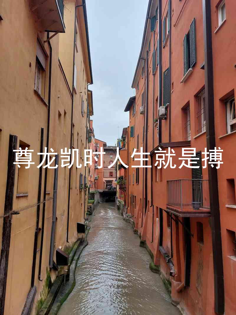 尊龙凯时人生就是搏