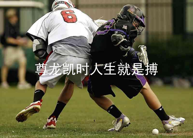 尊龙凯时人生就是搏